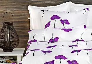 Appartement Centrum Szczecin